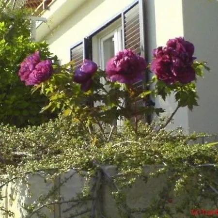 Lejlighed Apartments Silvano Rabac
