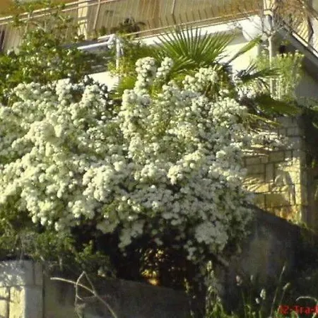 Apartmán Apartments Silvano Rabac